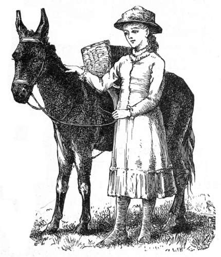 A girl with her donkey.