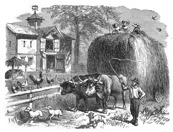 A pair of oxen pulling a load of hay.