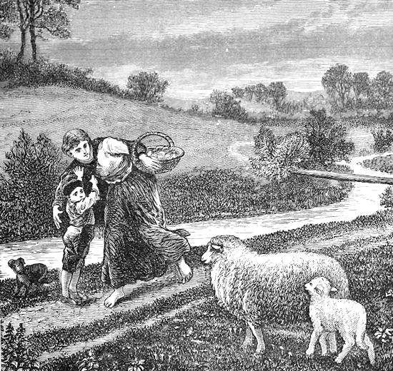 Woman and child looking at some sheep.